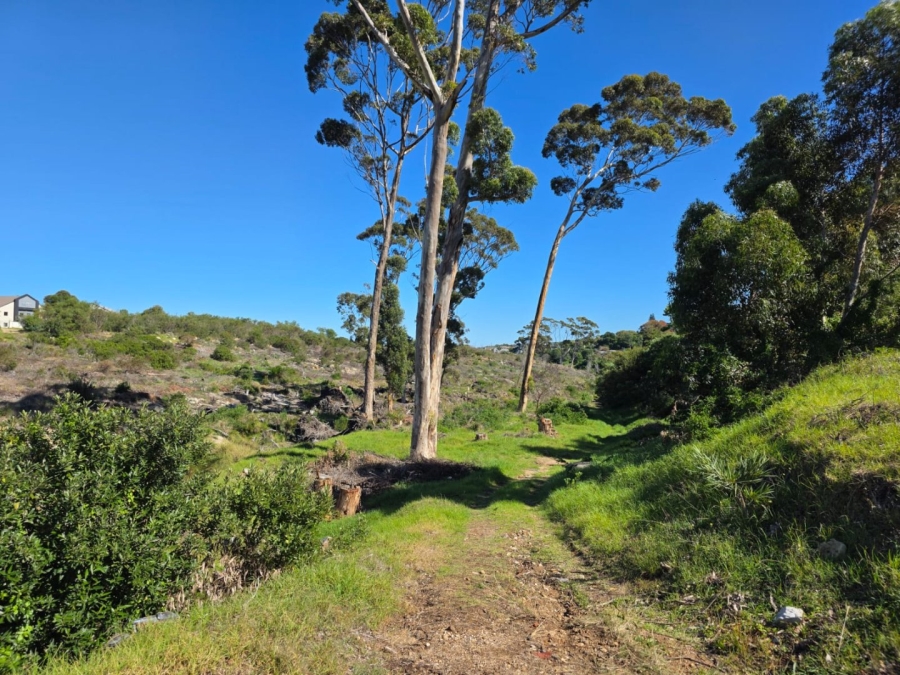 Commercial Property for Sale in Onrus Western Cape